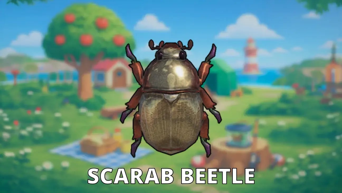 Scarab Beetle artwork