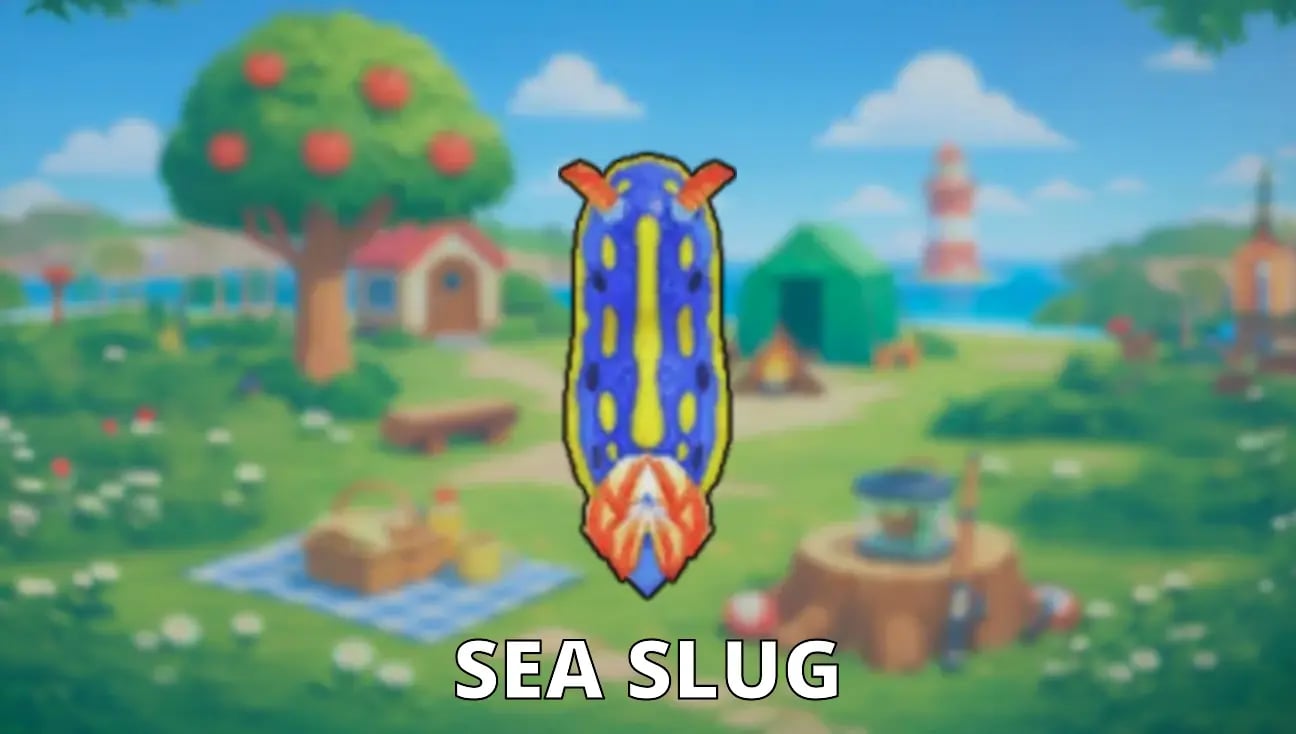 Sea Slug artwork
