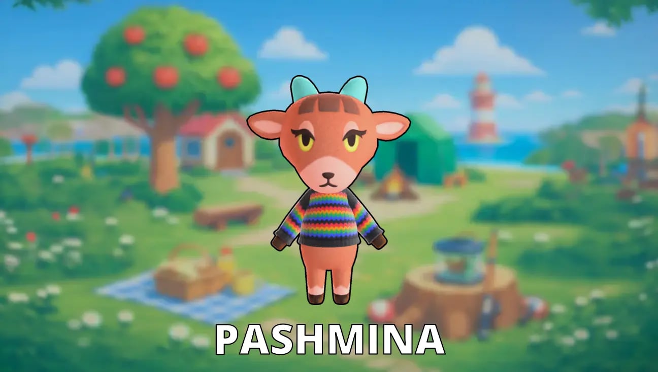Pashmina artwork