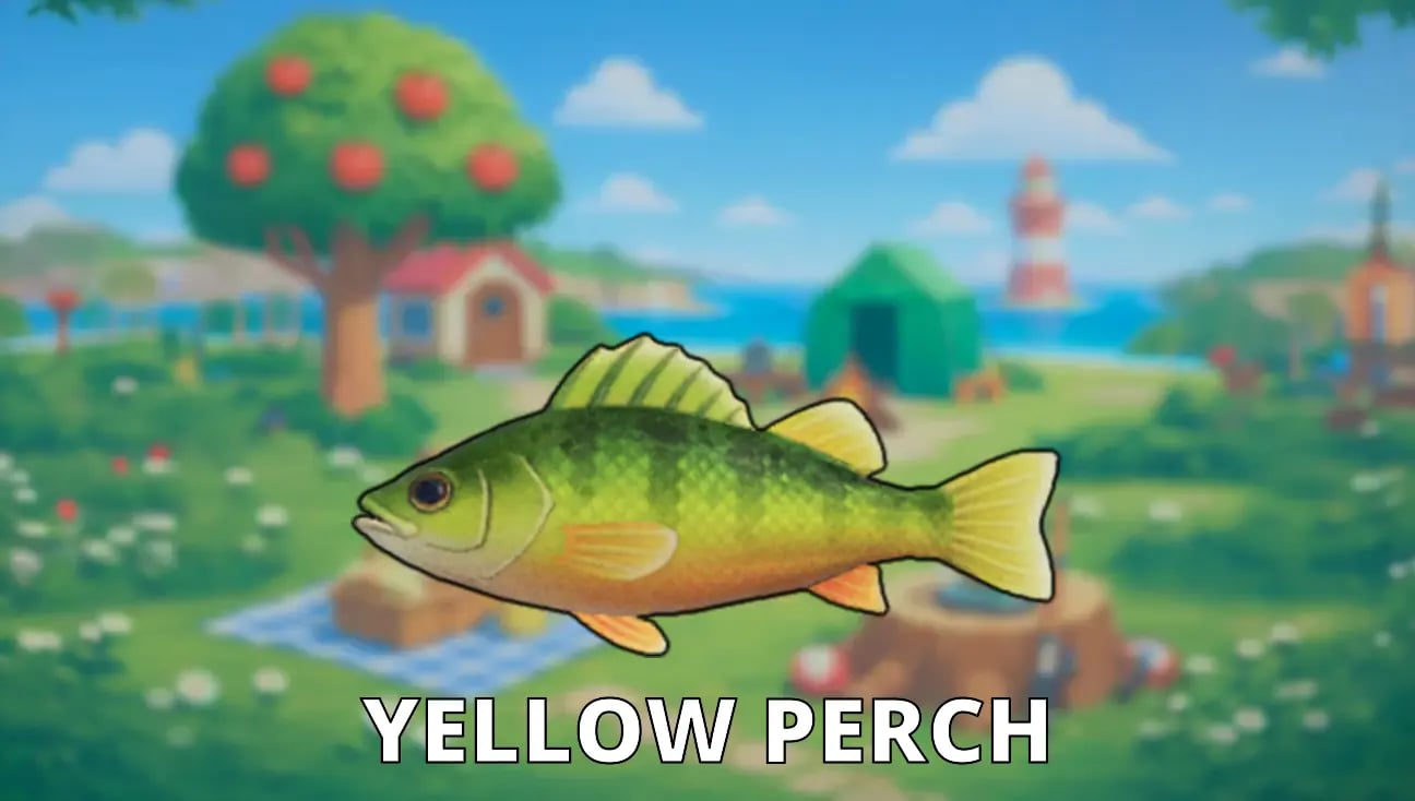Yellow Perch artwork