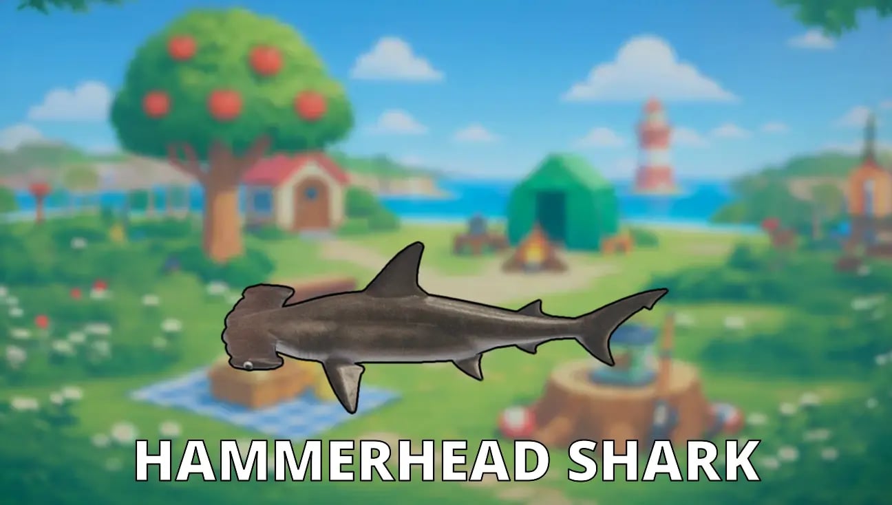 Hammerhead Shark artwork