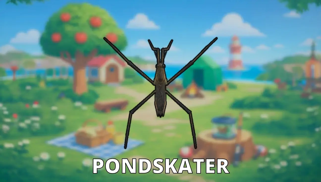 Pondskater artwork
