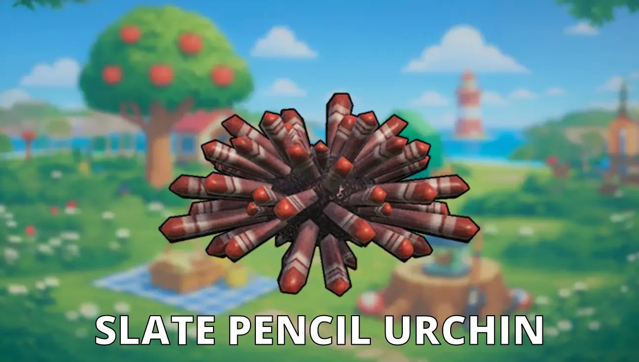 Slate Pencil Urchin artwork