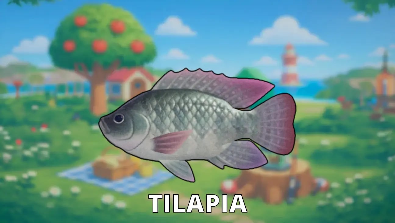 Tilapia artwork