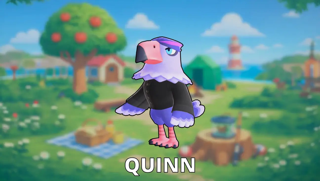 Quinn artwork
