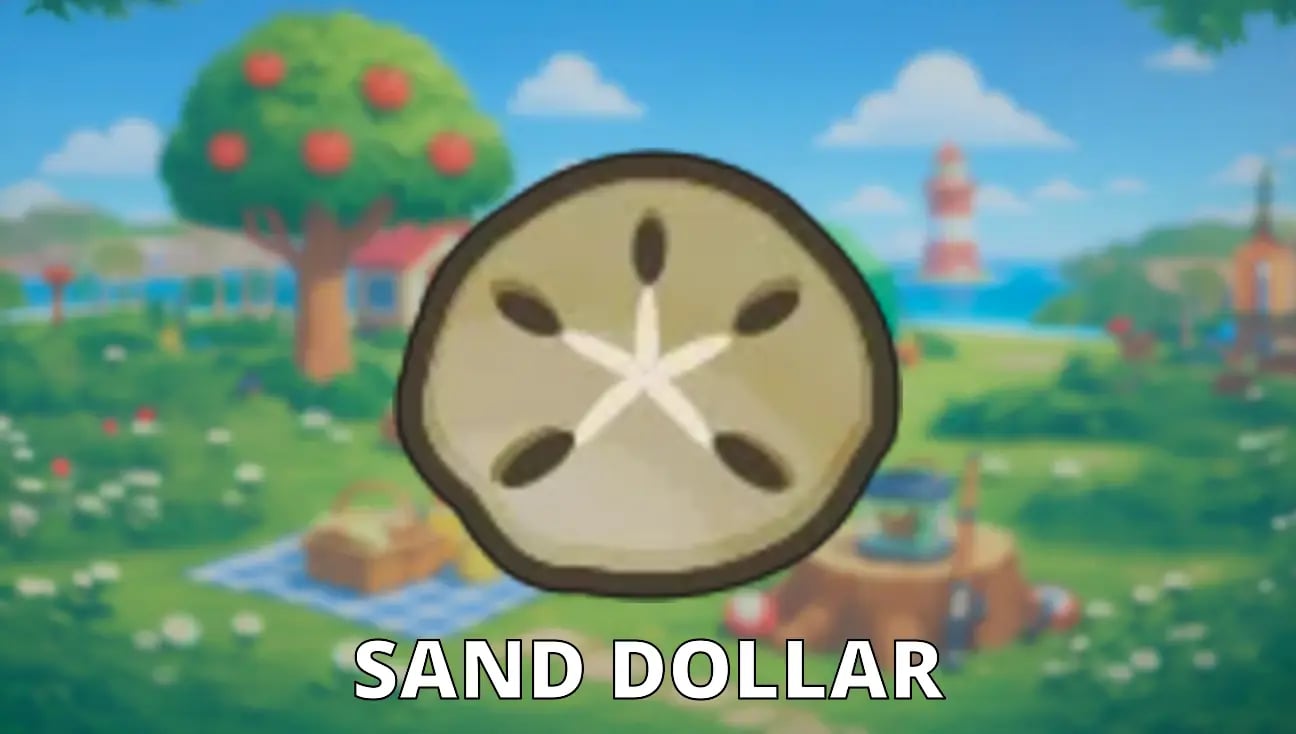 Sand Dollar artwork