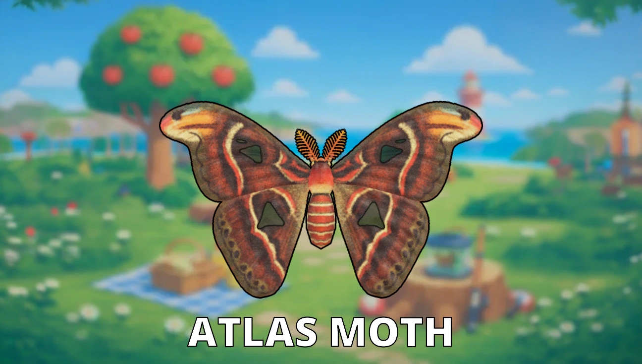 Atlas Moth artwork
