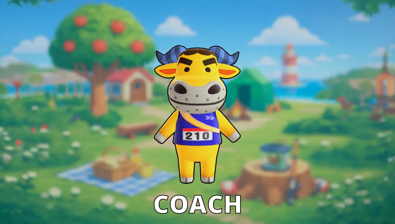 Coach artwork