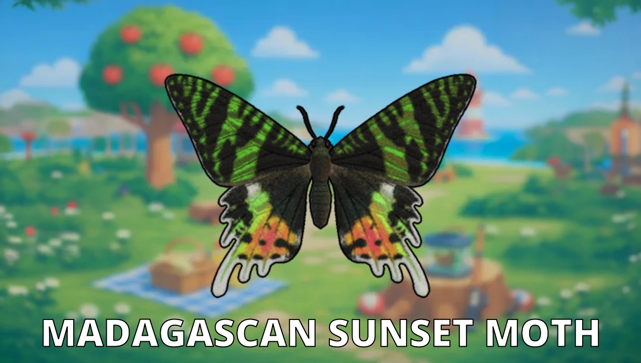 Madagascan Sunset Moth artwork