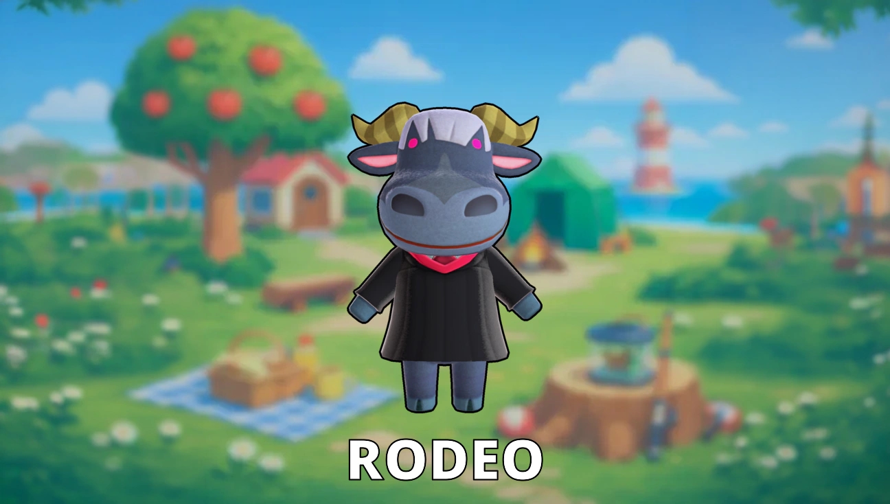 Rodeo artwork