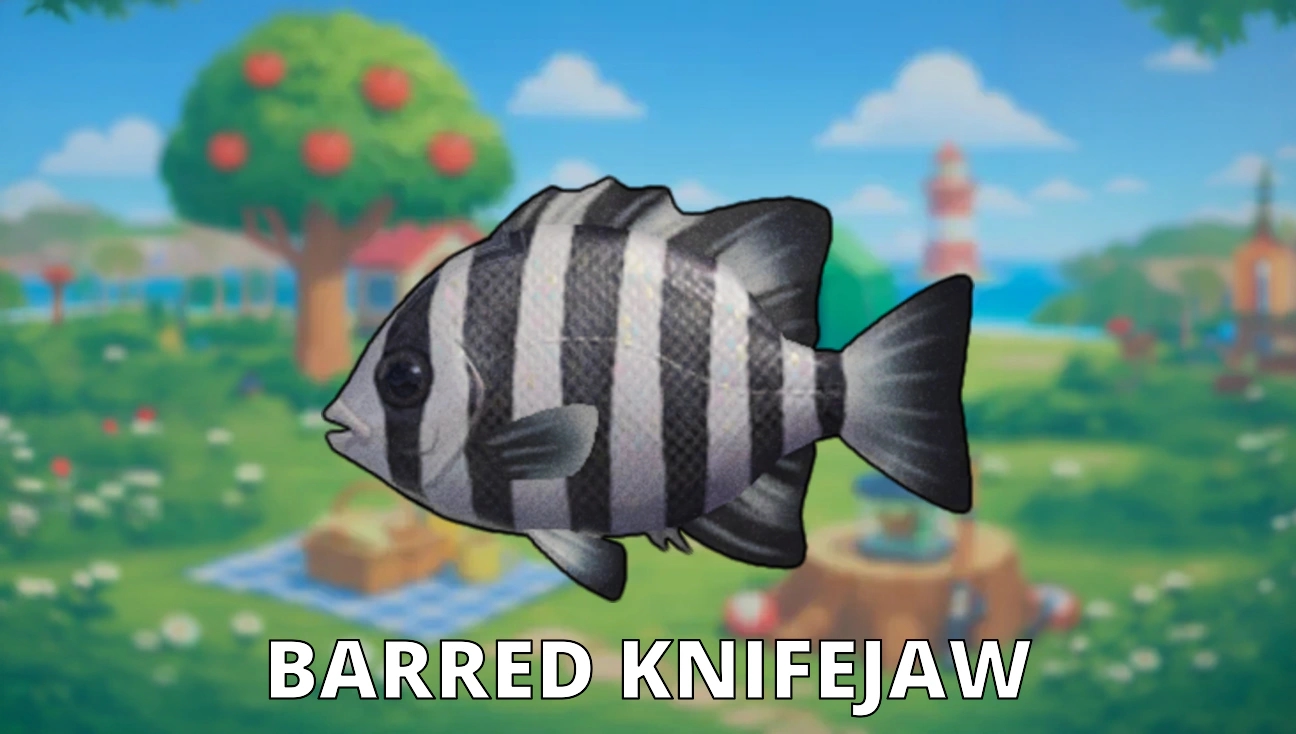 Barred Knifejaw artwork