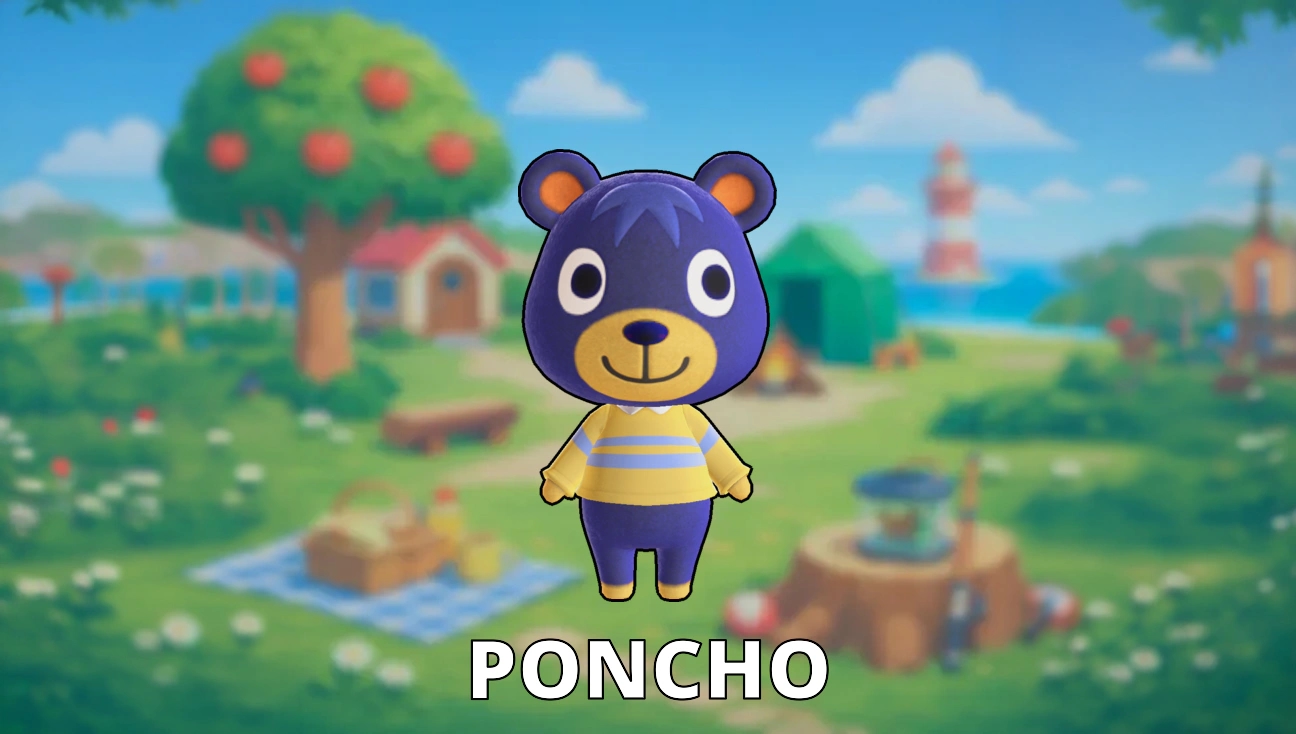 Poncho artwork