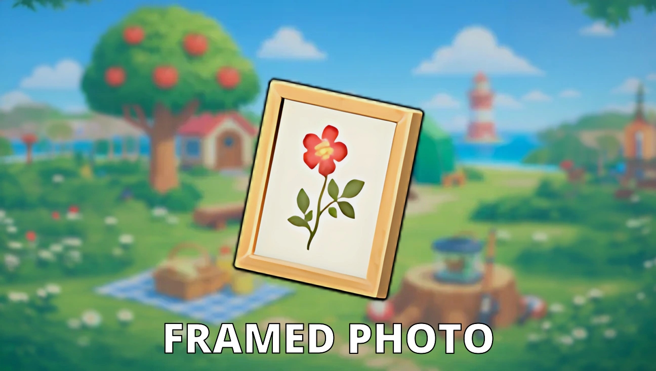 Framed Photo artwork