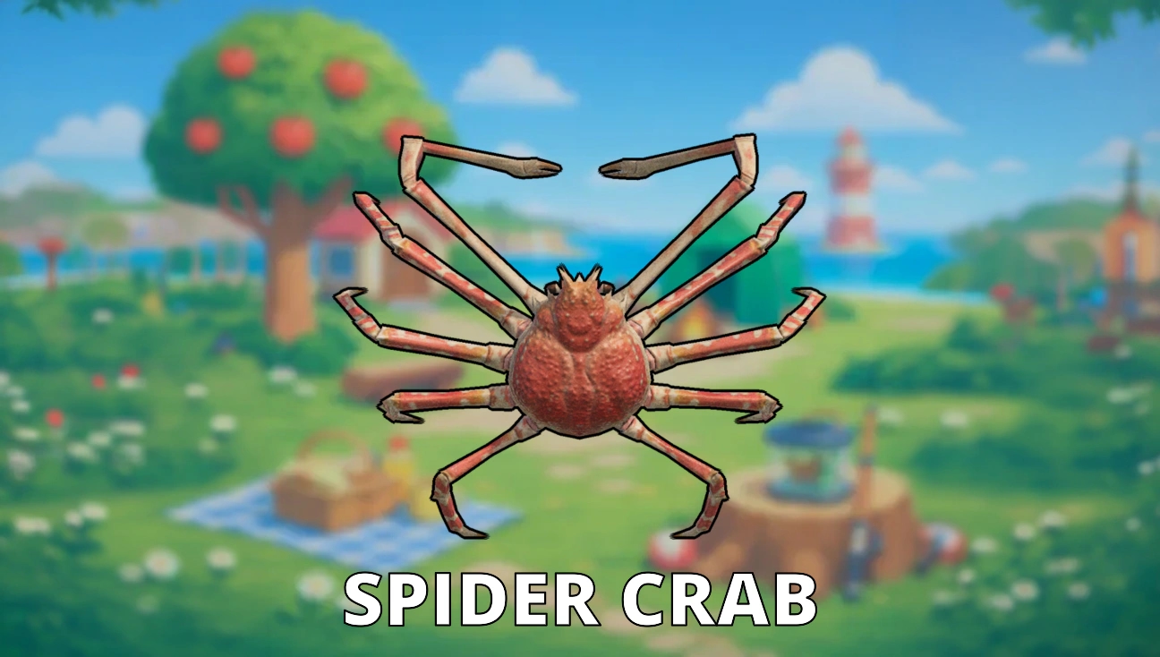 Spider Crab artwork