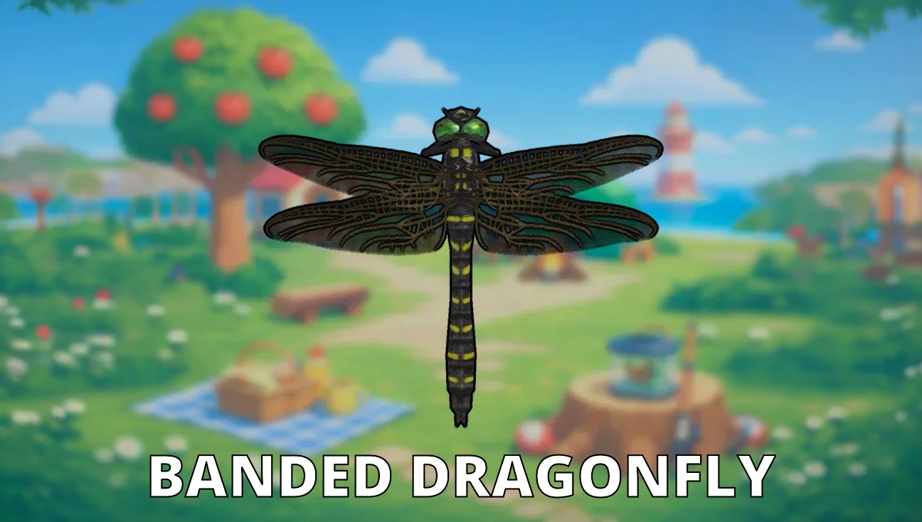 Banded Dragonfly artwork