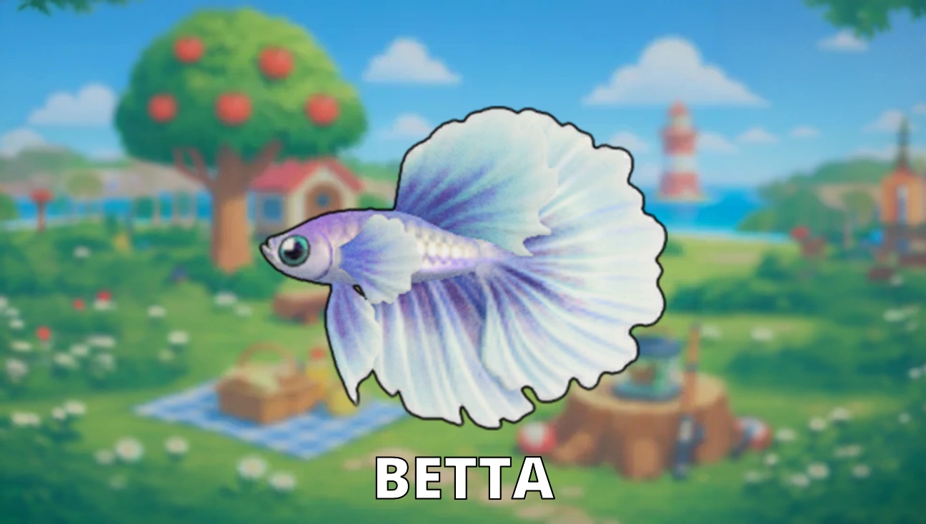 Betta artwork