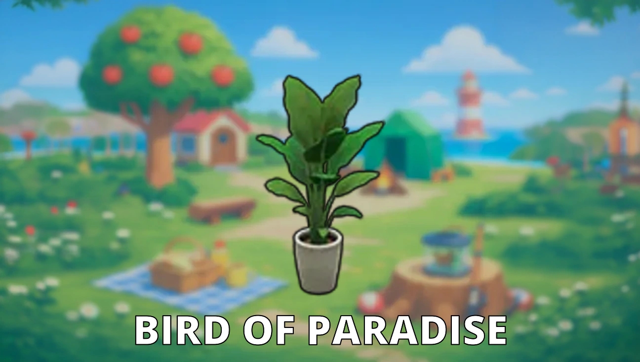 Bird Of Paradise variant