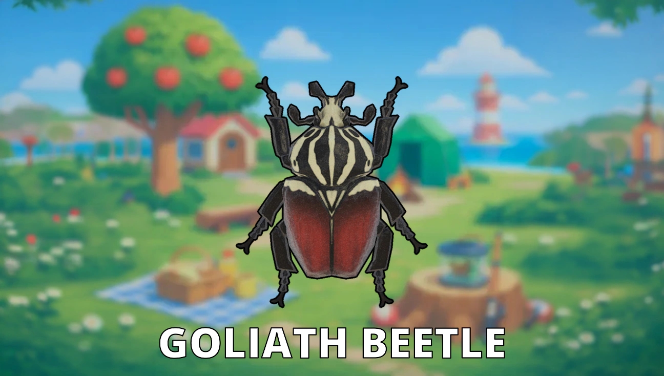 Goliath Beetle artwork