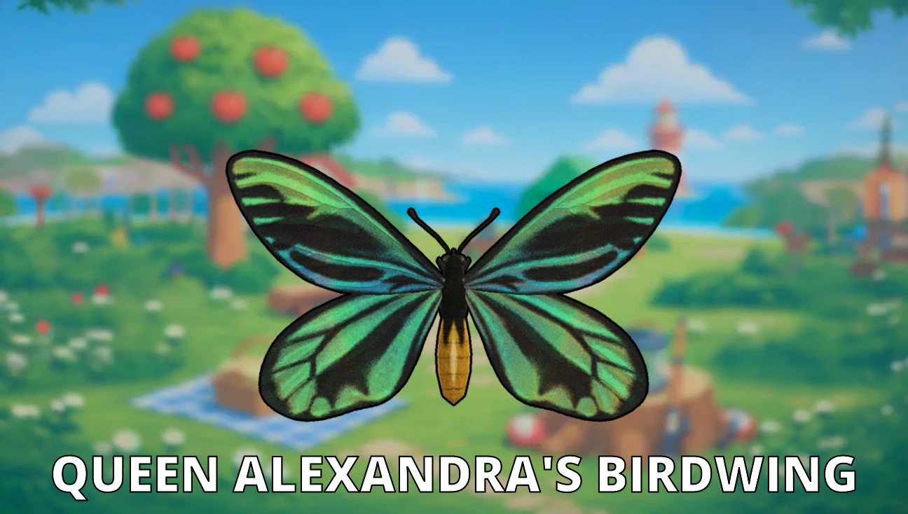 Queen Alexandra's Birdwing artwork