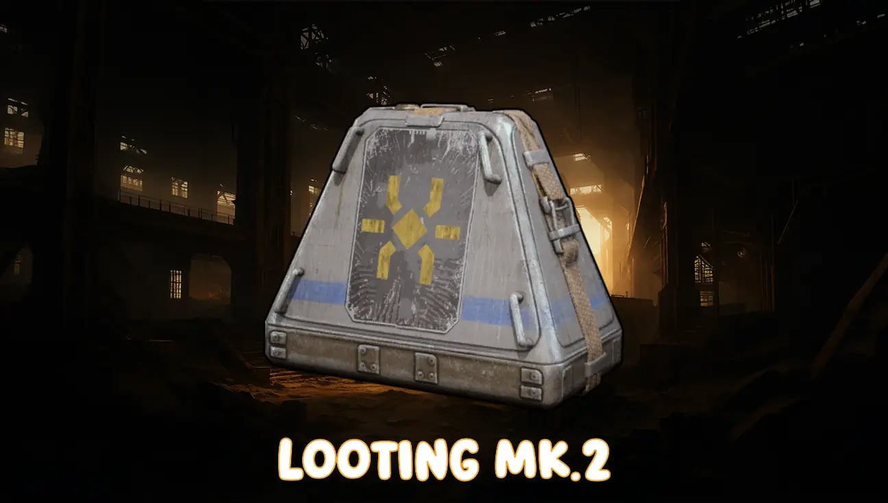 Looting MK.2 artwork