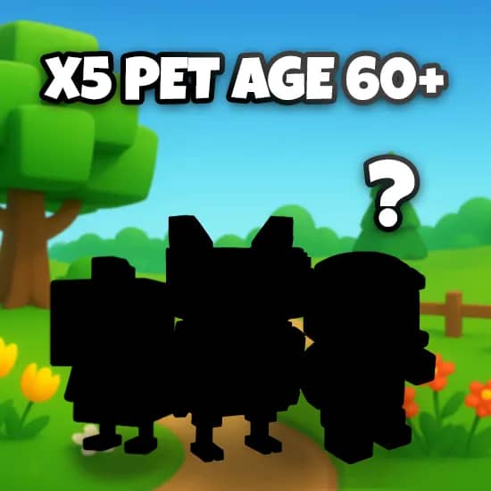 x5 Pet Age 60+ artwork