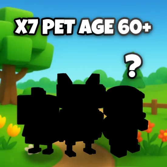 x7 Pet Age 60+ artwork