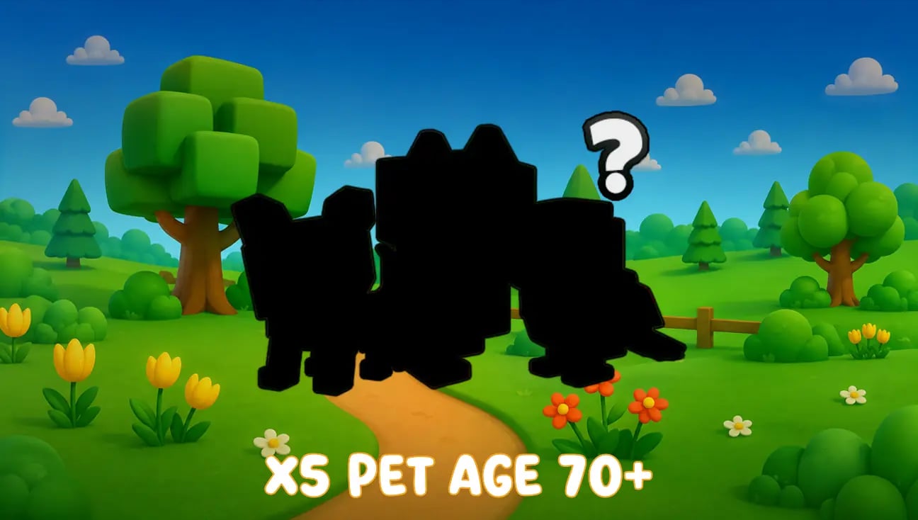 x5 Pet Age 70+ artwork