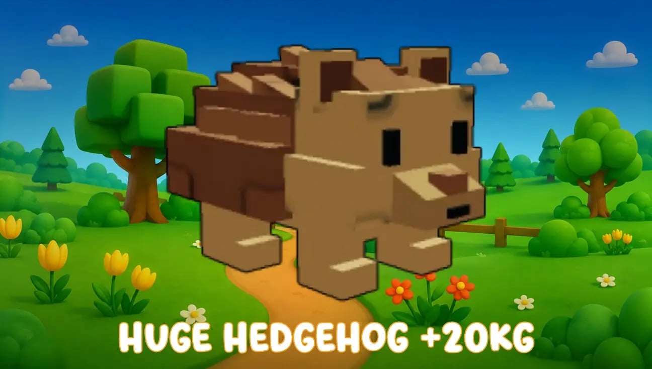 Huge Hedgehog +20kg artwork