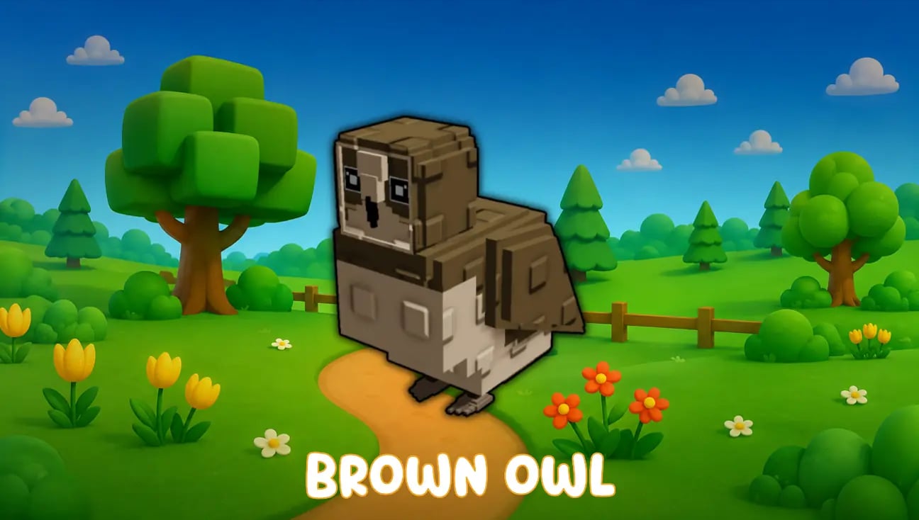 Brown Owl artwork