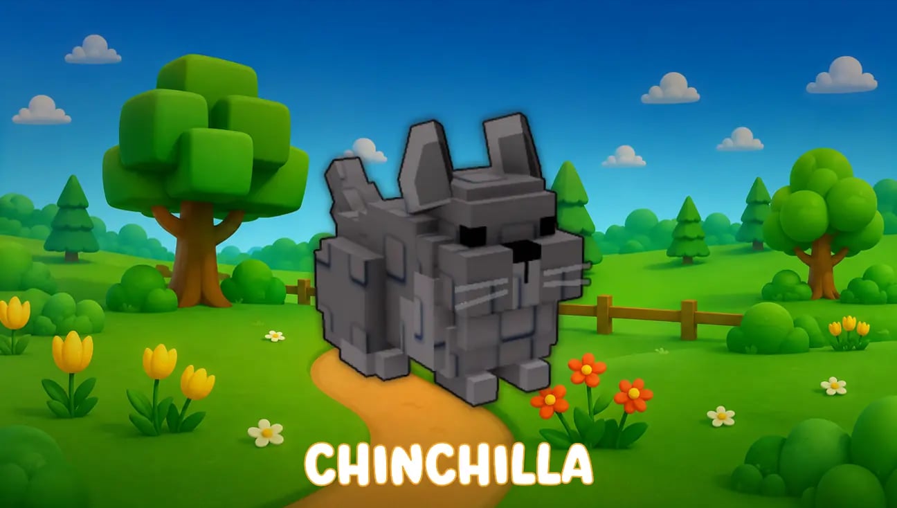 Chinchilla artwork