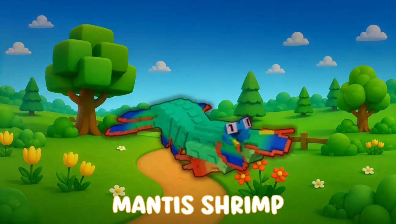 Mantis Shrimp artwork