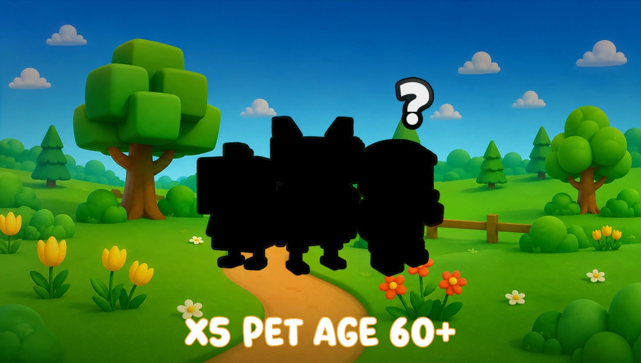 x5 Pet Age 60+ artwork