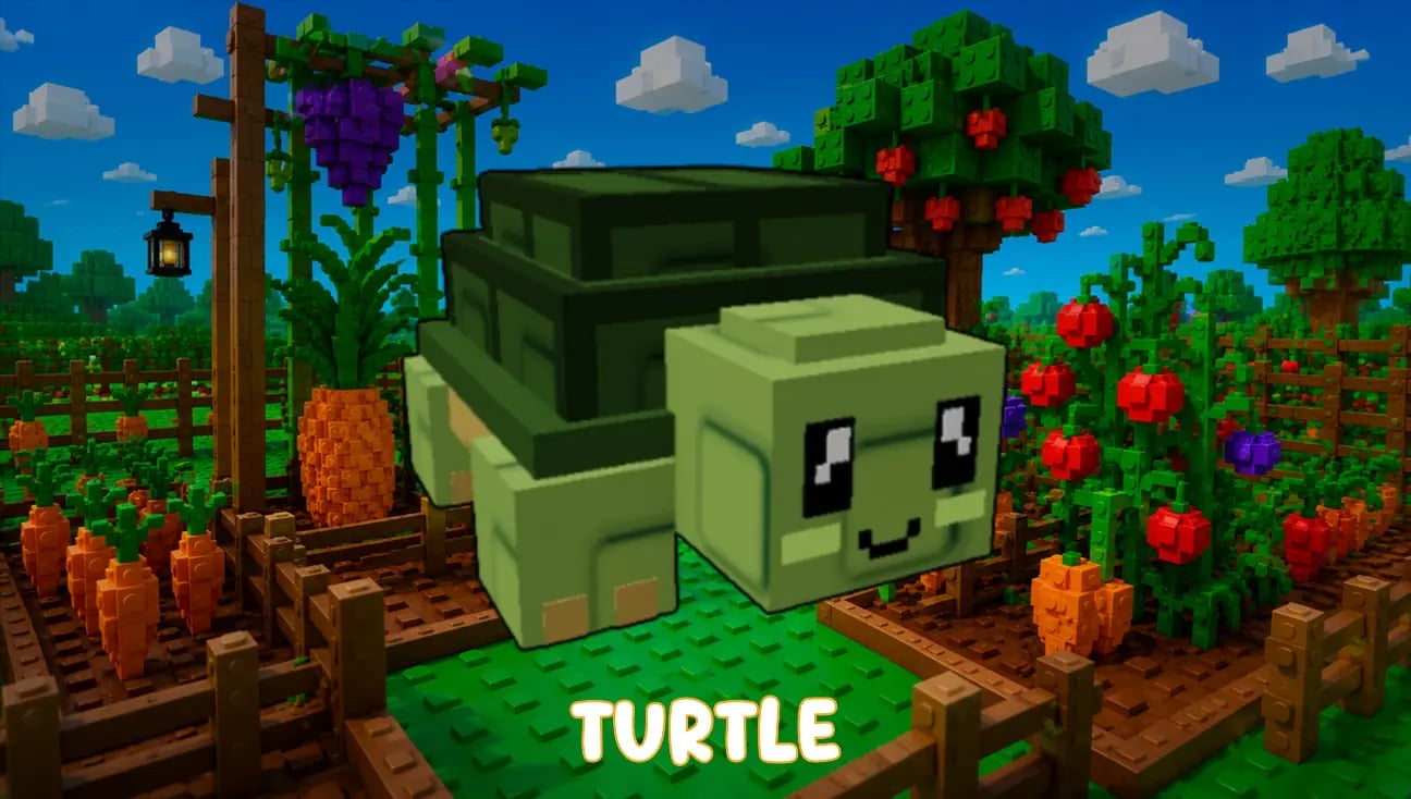 Turtle artwork