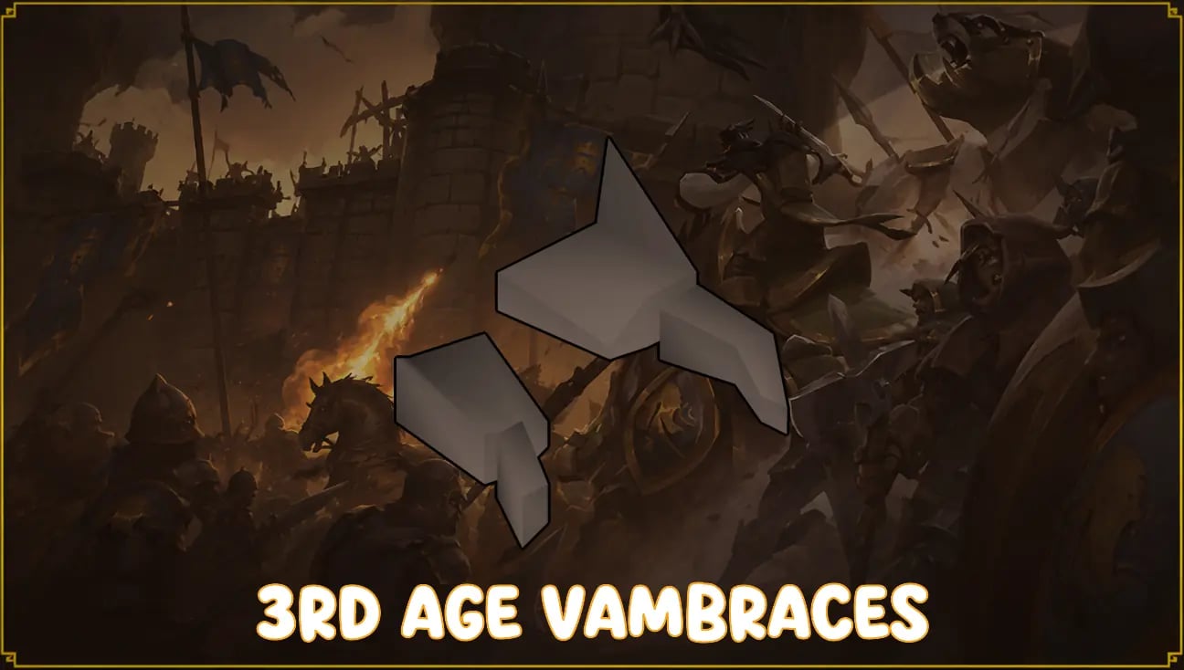 3rd Age Vambraces artwork
