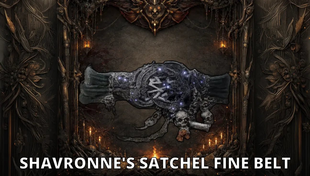 Shavronne's Satchel Fine Belt artwork