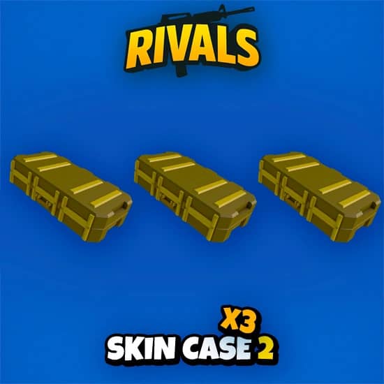 Skin Case 2 x3 artwork