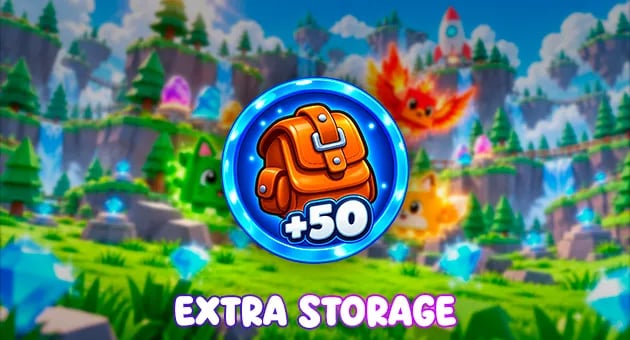 Extra Storage artwork